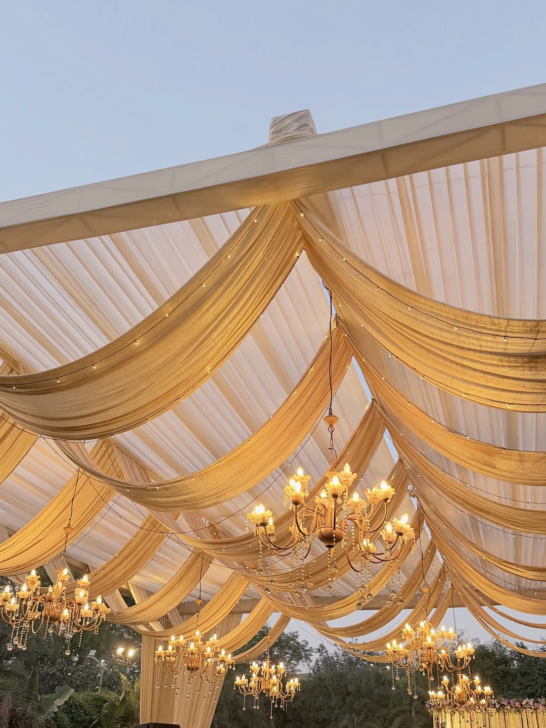 Golden Draped Canopy